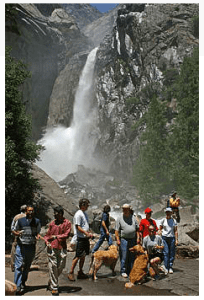 Free Entrance Day in the National Parks