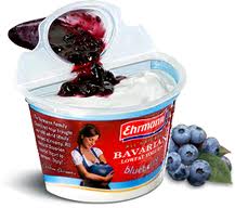 Bavarian Yogurt