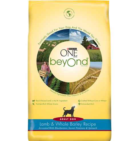 Purina One Beyond Dog Food only $3.67 at Target