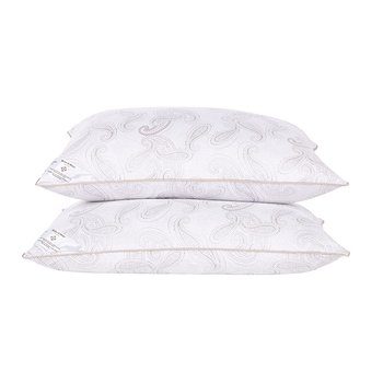 2-Pack 300-Thread Count Down Alternative Pillows for $24.99