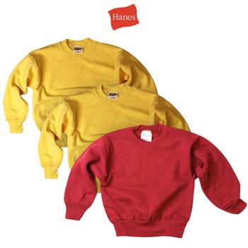 3-Pack Hanes Boy’s Fleece Sweatshirts for $17.99