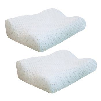 2-Pack Memory Foam Pillow for $29.99 + FREE Shipping