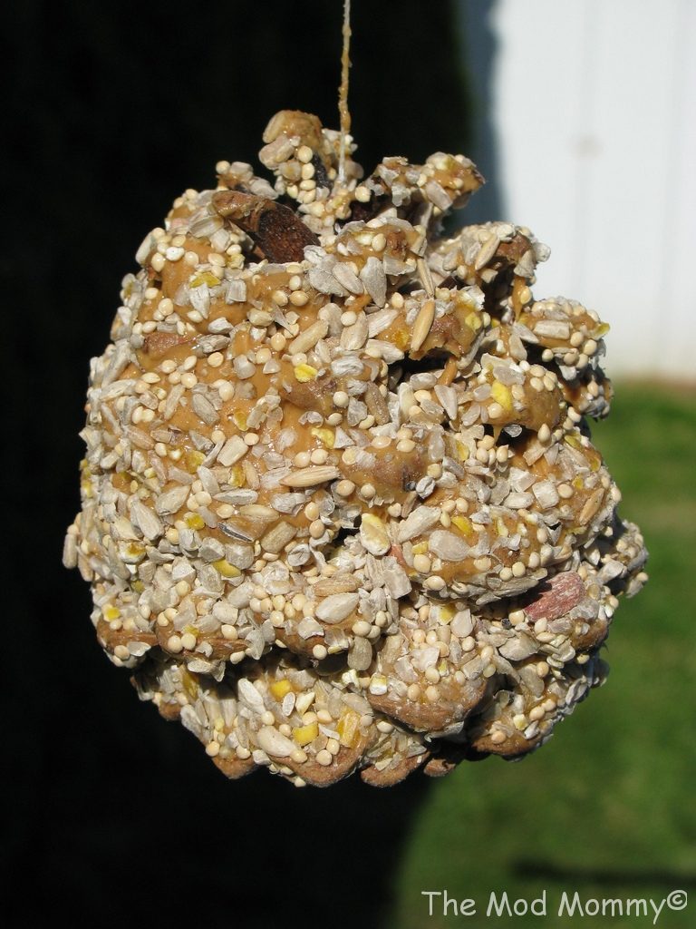 Fall Craft Idea for Kids: Pinecone Birdfeeder