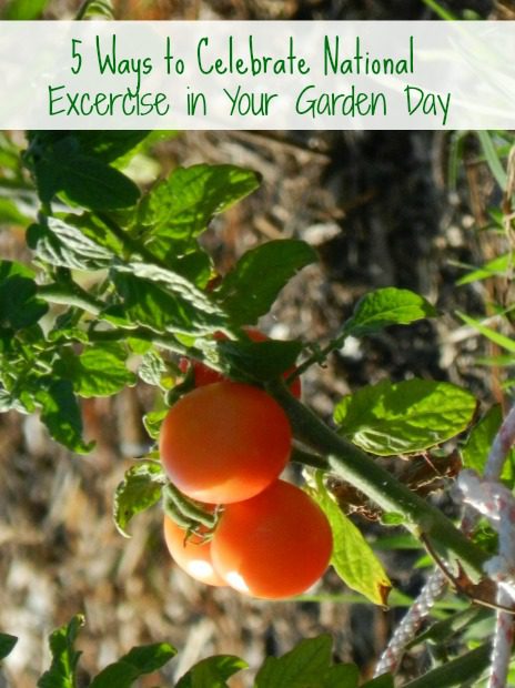 5 Ways to Celebrate National Exercise in Your Garden Day  