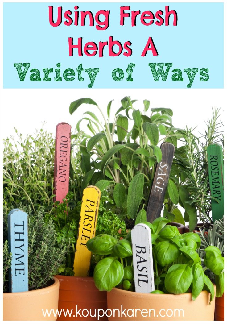 Using Fresh Herbs In A Variety of Ways