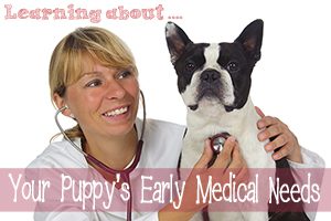Learning About Your Puppy’s Early Medical Needs