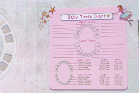 Baby Teeth Chart For Baby Book