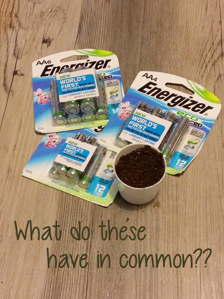 Using Empty K-Cups to Plant Seedlings #BringingInnovation #Ad