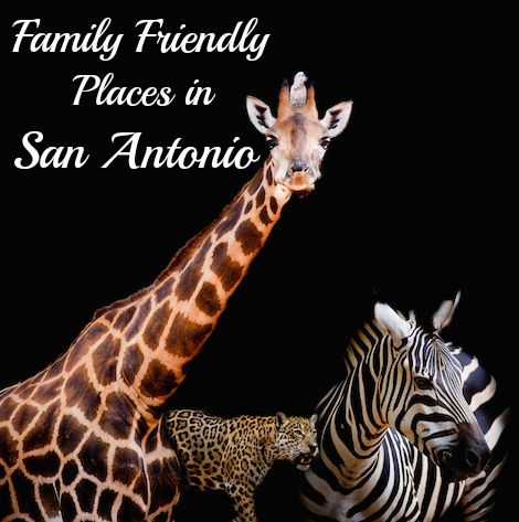 Family Friendly Places in San Antonio