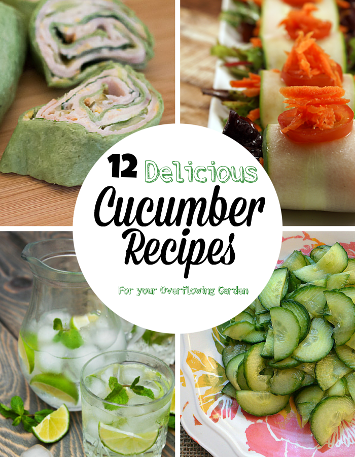 Cucumber-Recipes
