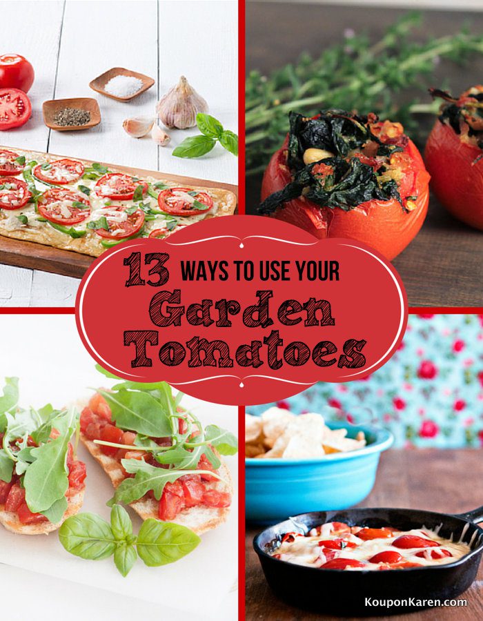 Tomato Recipes for Those Extra Tomatoes from Your Garden