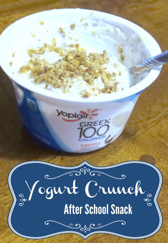 Easy Yogurt Crunch After School Snack