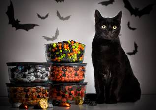 Pyrex Halloween Cats Dish & Halloween Trail Mix Recipe