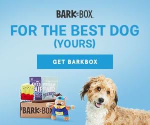 BarkBox Subscription Box for Dogs – Black Friday Deal 2021