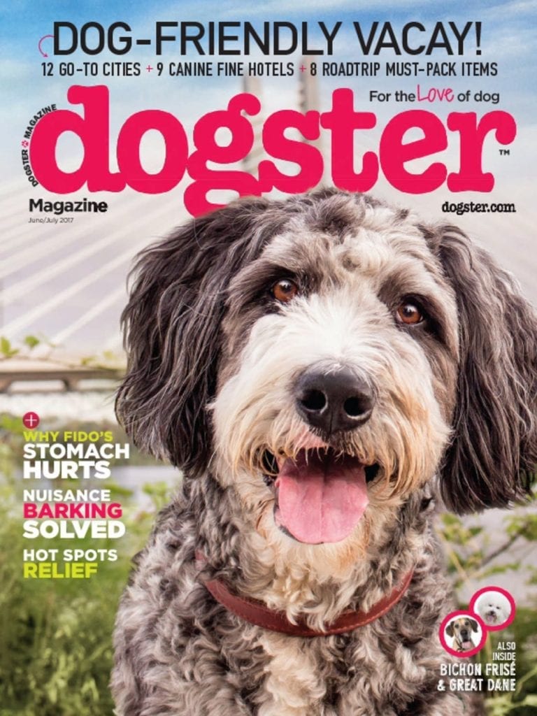 Dogster Magazine Deal