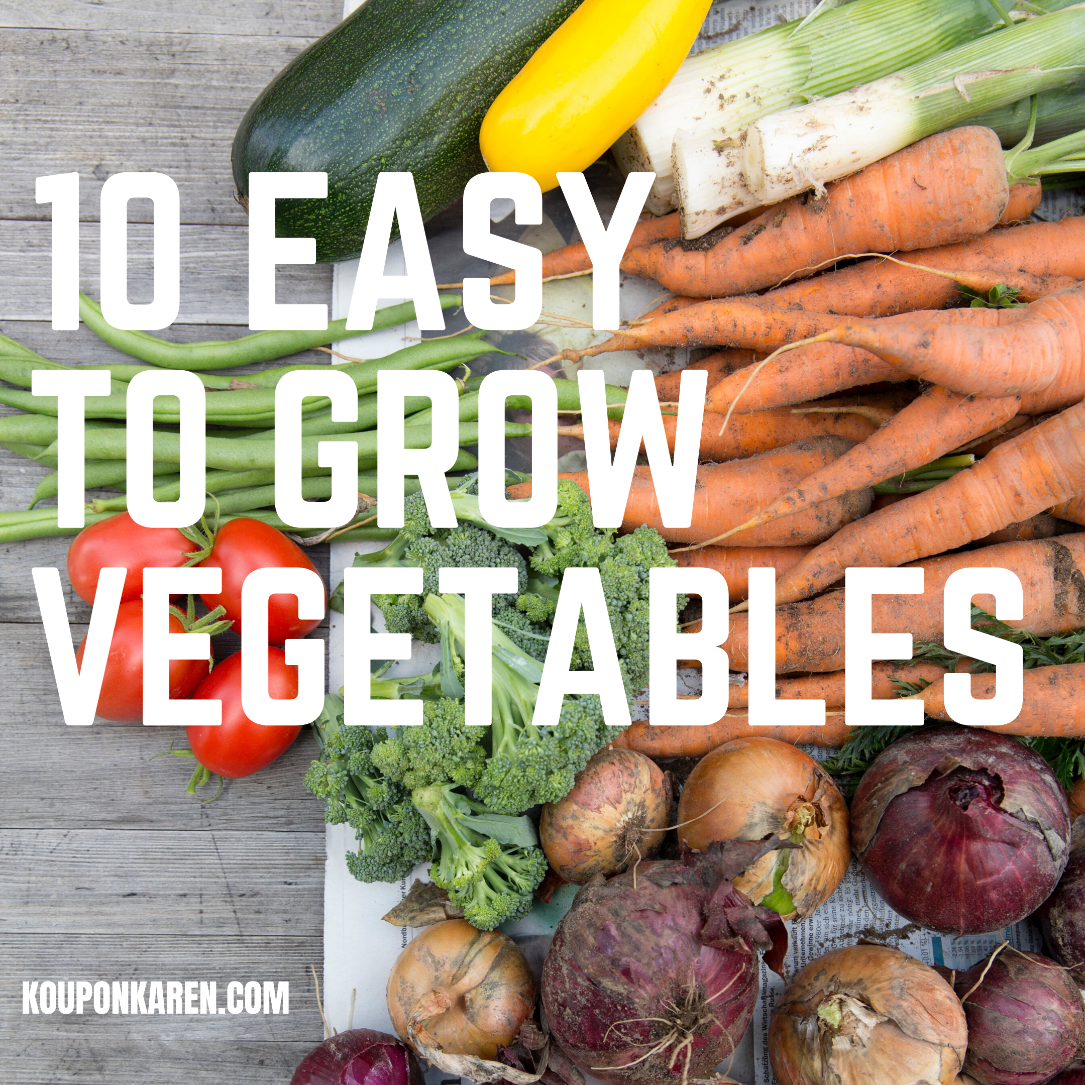 10 Easy To Grow Vegetables
