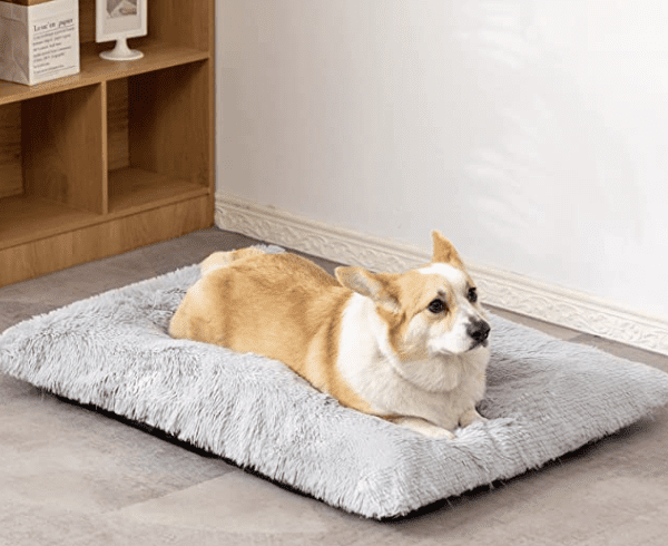 Dog Bed Deal- 60% off – $16 shipped!