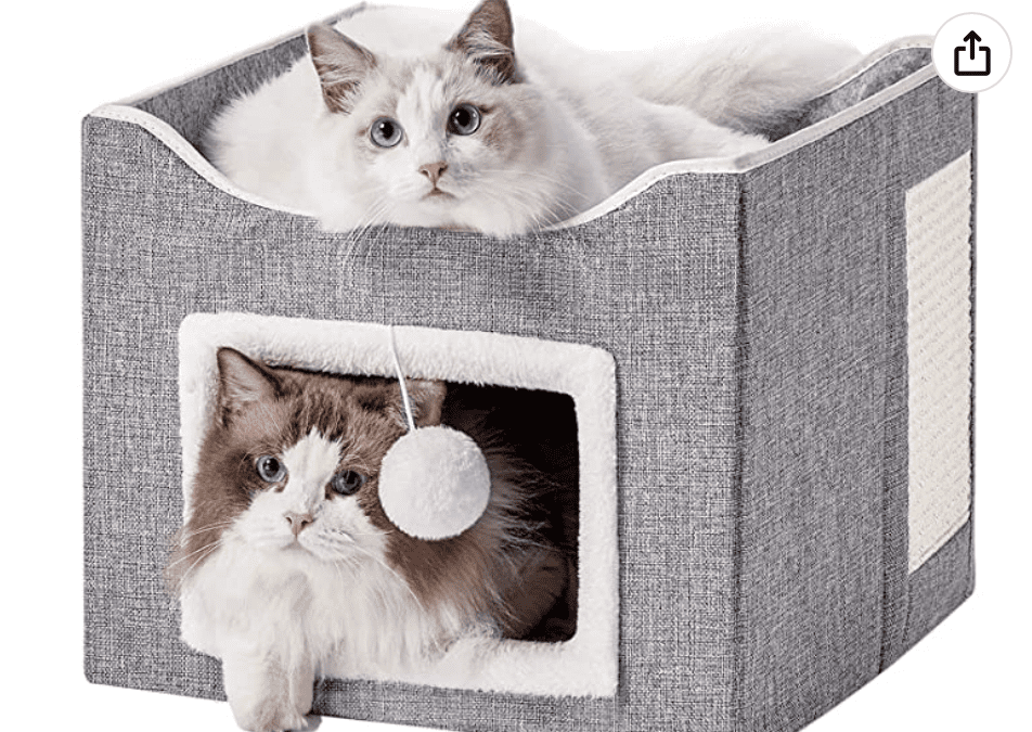 Cat House Deal – 50% off!