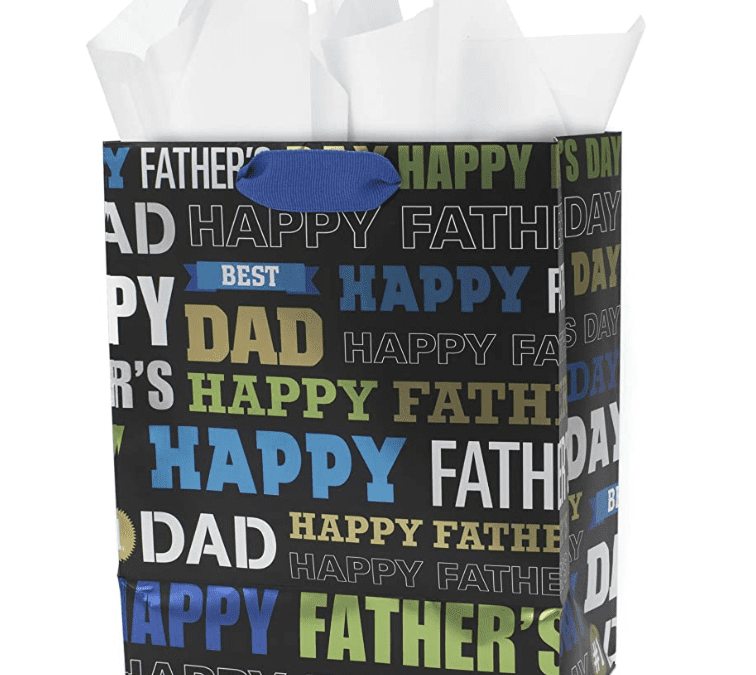 Hallmark Father’s Day Gift Bag with Tissue – Just $3.99