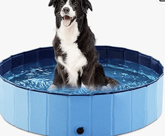 Foldable Dog Pool Deal – as low as $22.09