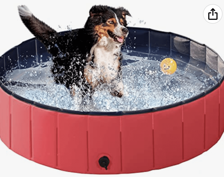 Foldable Dog Pool Deal –  $21.79