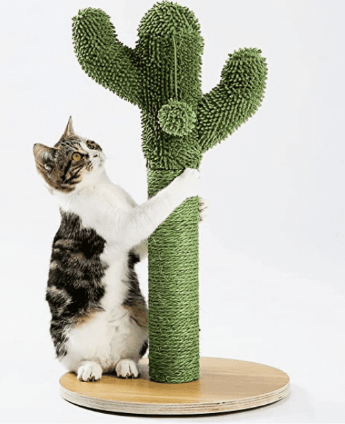 Cat Catctus Scratching Pole Deal – 33% off – Just $19.99