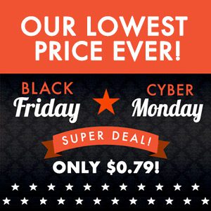Craftsy Black Friday and Cyber Monday Deal – Get a 1 Year Membership for just $0.79!!