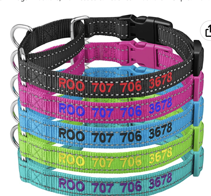 Personalized Pet Collar –  $6.50 shipped