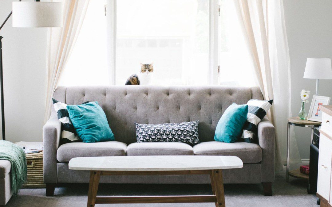 How To Make A Living Room More Cozy? Top Advice
