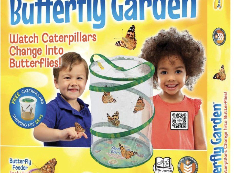 Butterfly Garden – Just $19.76 shipped! (Reg. $34!)