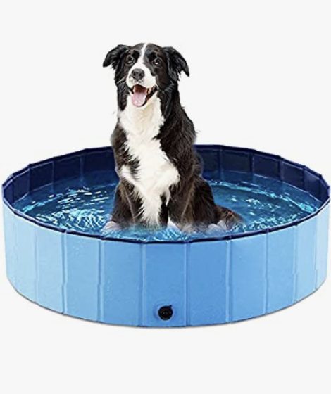 Collapsible Dog Pool Sale – As low as $17 shipped!  {This is great for little kids too!}