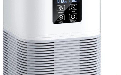 2-in-1 Air Purifier Deal – Just $36 (Reg. $90!)