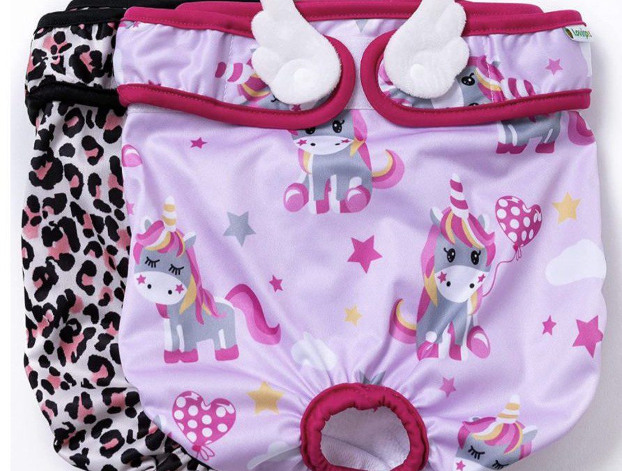 2 Piece Reusable Dog Diapers – As low as $9.90 shipped!