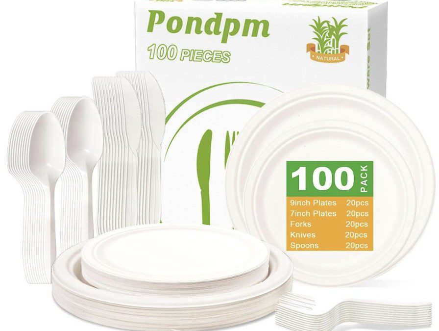100 Piece Disposable Paper Plates Set – Just $13.99 shipped! {Everything you Need in One Package}
