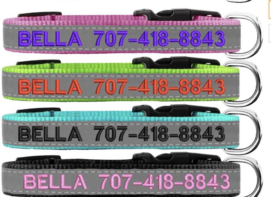 Personalized Reflective Cat or Dog Collar – Starting at $5.46 shipped! (Reg. $11)