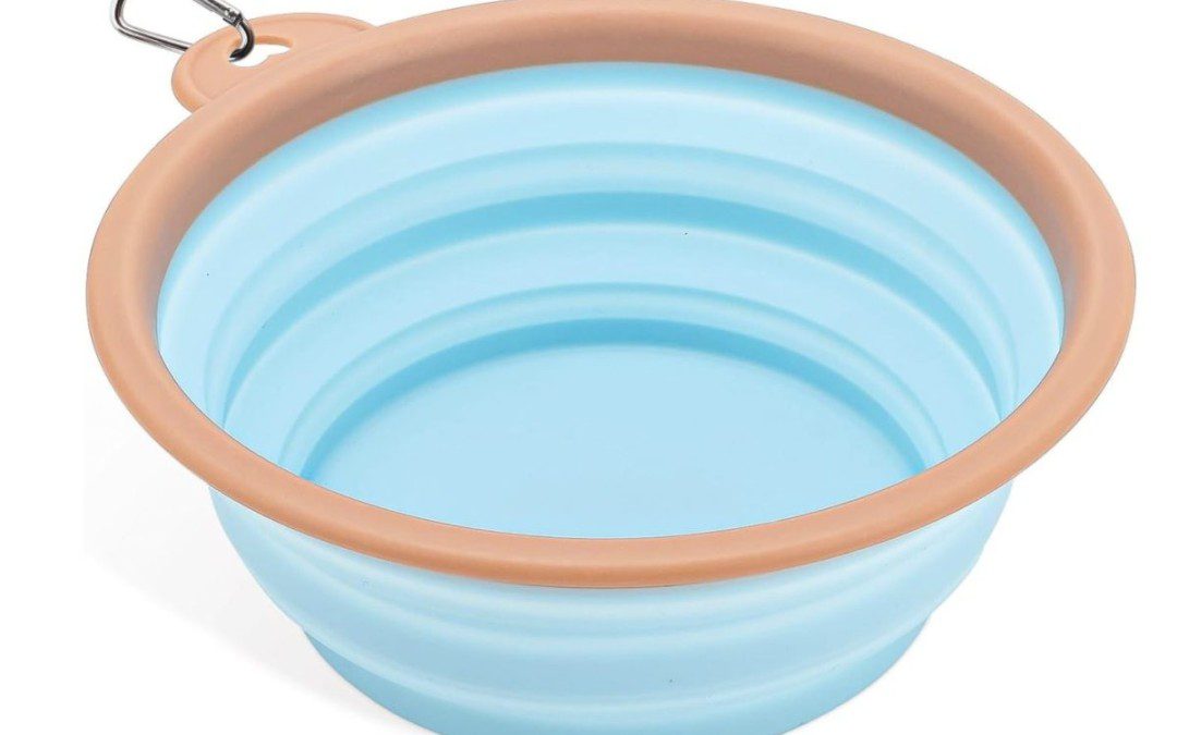 50% off Collapsible travel Dog Bowl – Just $2.97 shipped!