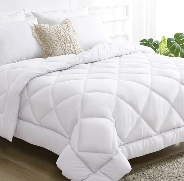 Queen Comforter – Just $16.79 shipped!