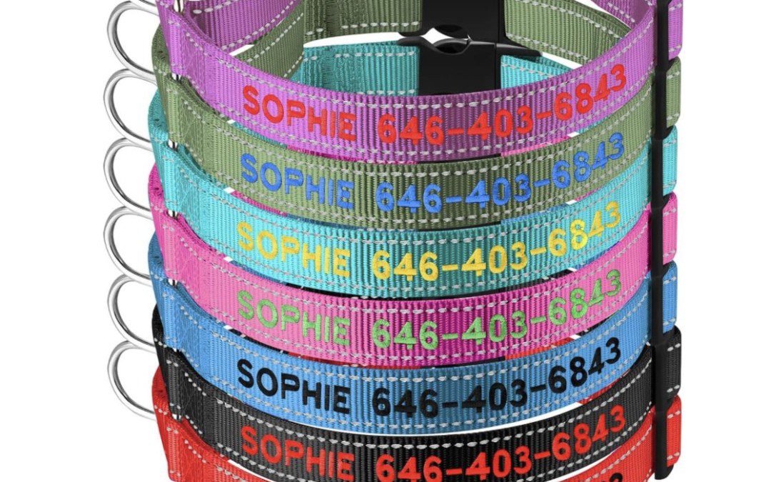 50% off Personlized Reflective Dog Collar – Just $6.49 shipped!