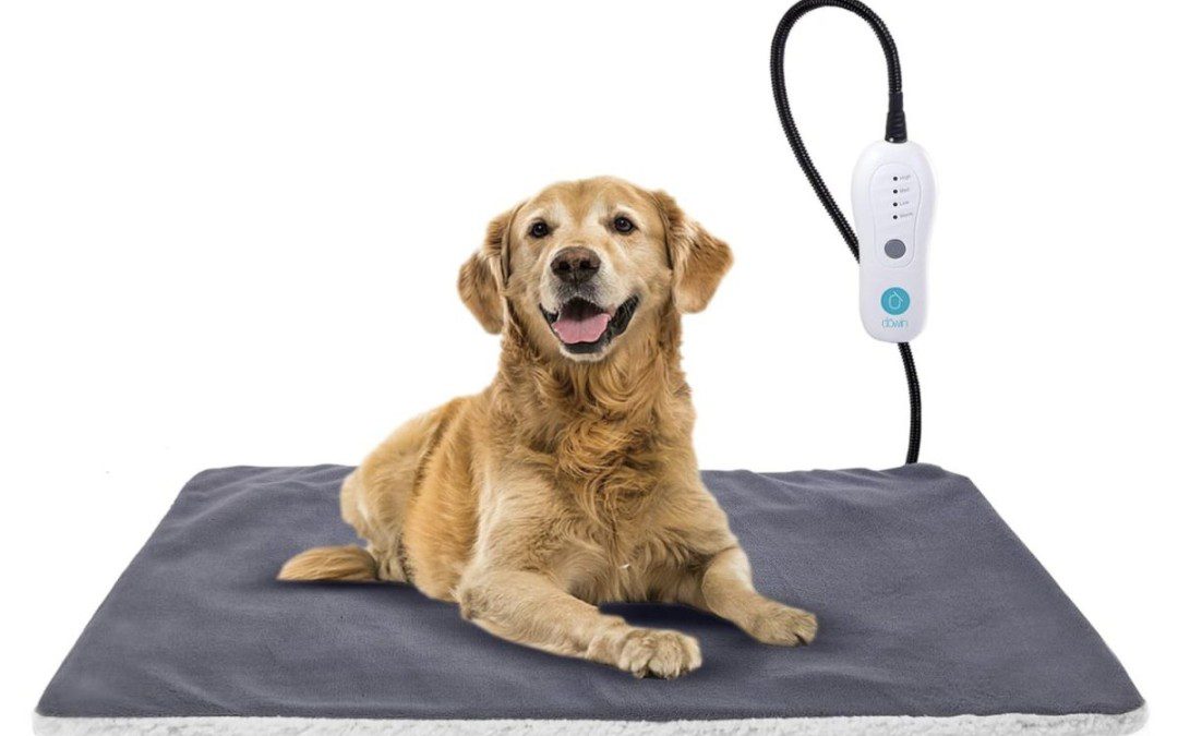 50% off Large Electric Pet Heating Pad – Just $22.49 shipped!
