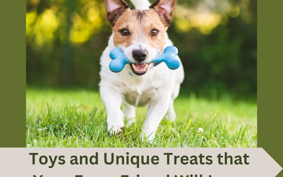 Dog Toys And Unique Treats Your Furry Friend Will Love