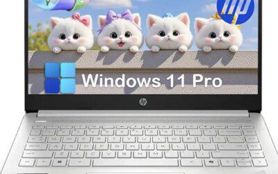 76% off an HP 2025 14” Everyday Laptop 16G Ram 384G Storage {Think Christmas Gifts!}