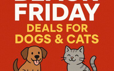 Best Black Friday Deals for Dogs & Cats: Huge Savings for Pet Parents