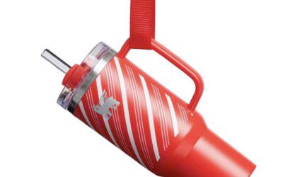 NEW Stanley Ornament or Keychains – $11.99 each – 3 CUTE Patterns