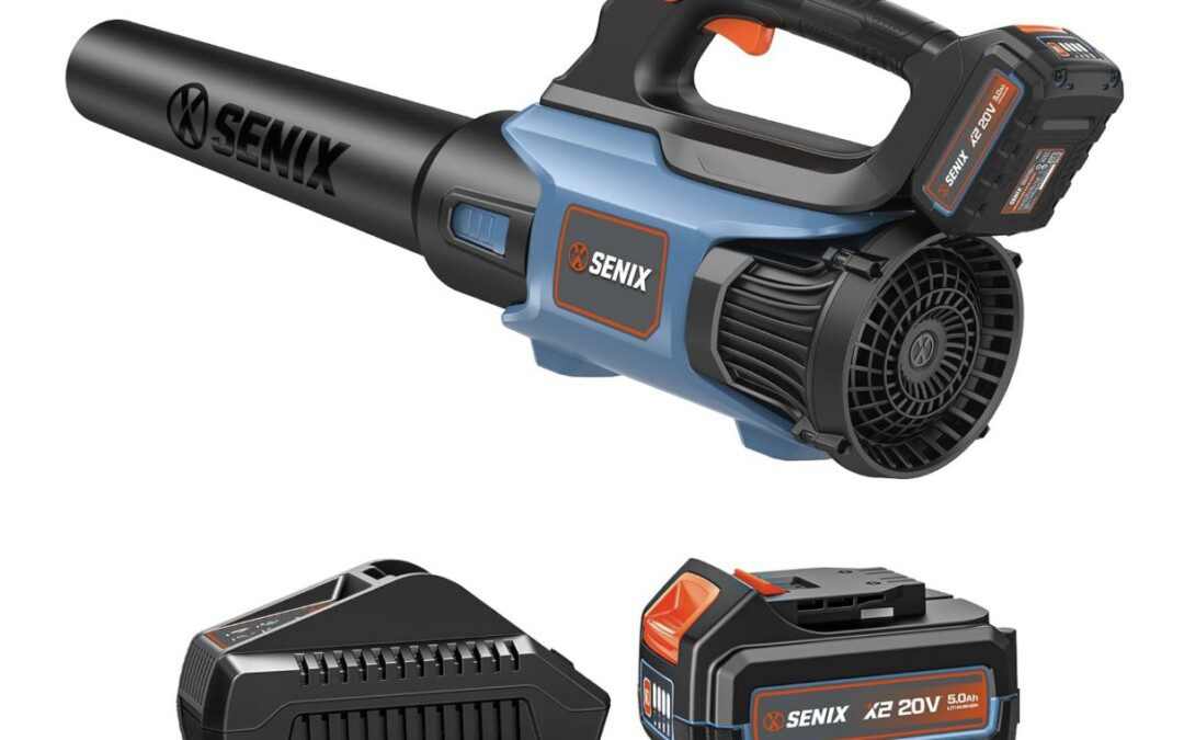 Cordless Leaf Blower for just $33.34 (Reg $80)