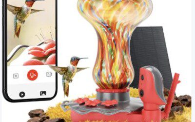 64% off Smart Hummingbird Feeder – Just $39.99 (Reg $110)