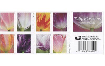 HOT Deal on Forever Postage Stamps