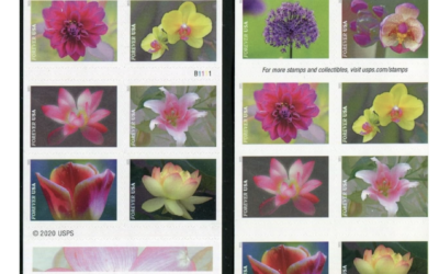 HOT Deal on Forever Postage Stamps