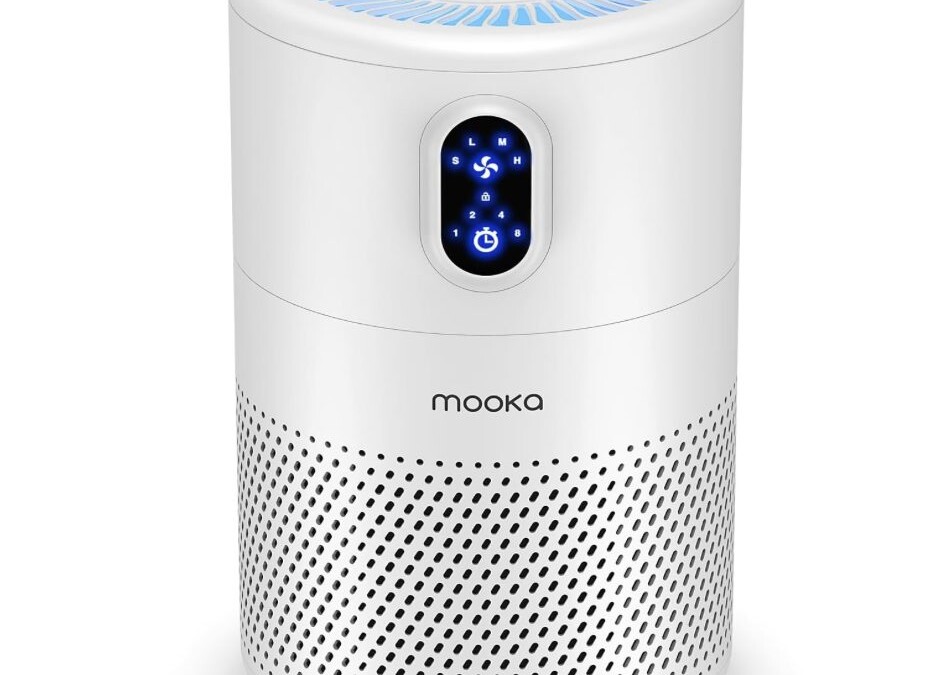 Save 50% on this True HEPA Air Purifier for Large Rooms